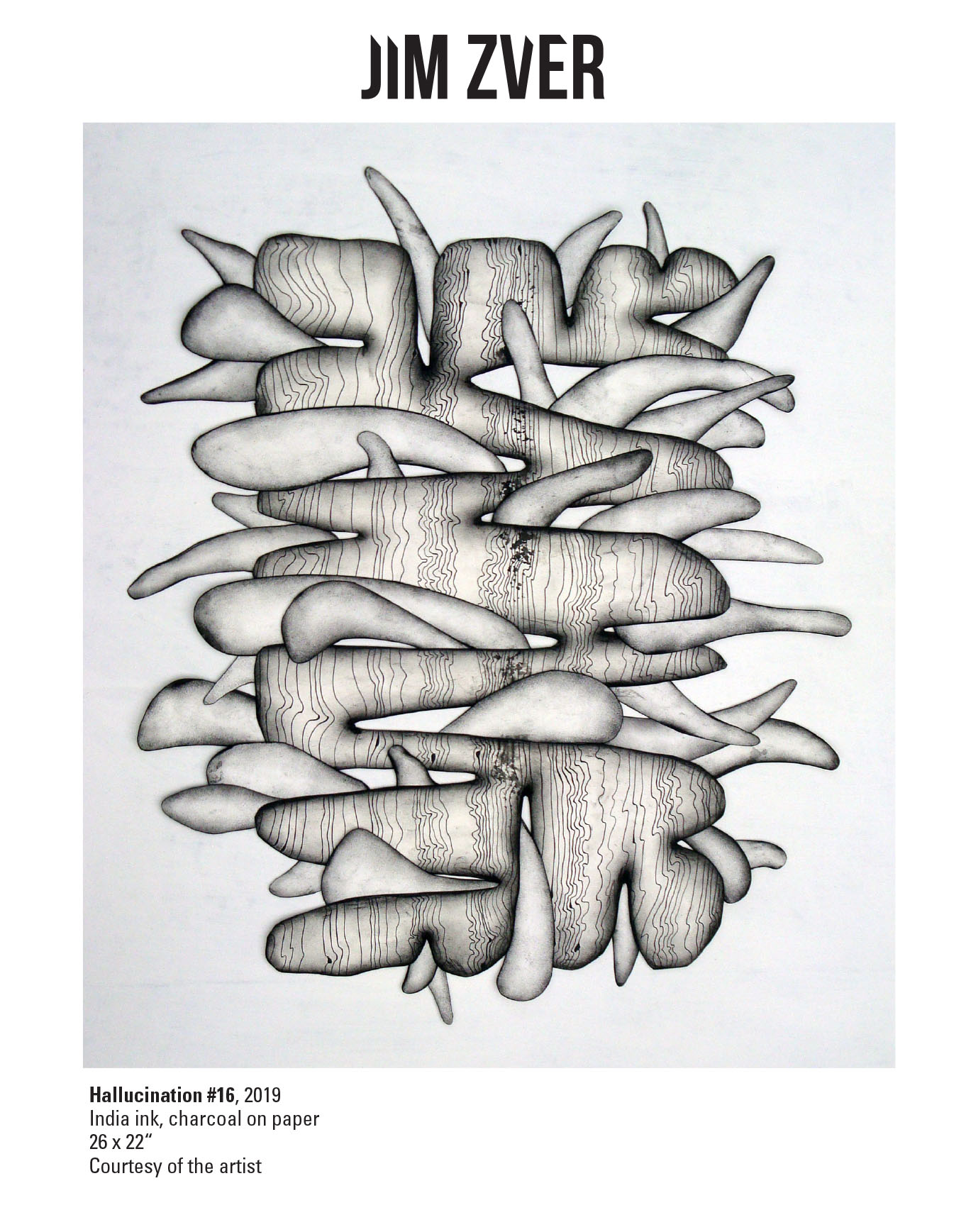Jim Zver, Hallucination #16, 2019. India ink, charcoal on paper. 26 x 22“ Courtesy of the artist. A ink and chorcoal drawing of organic abstract shapes intertwined with each other.