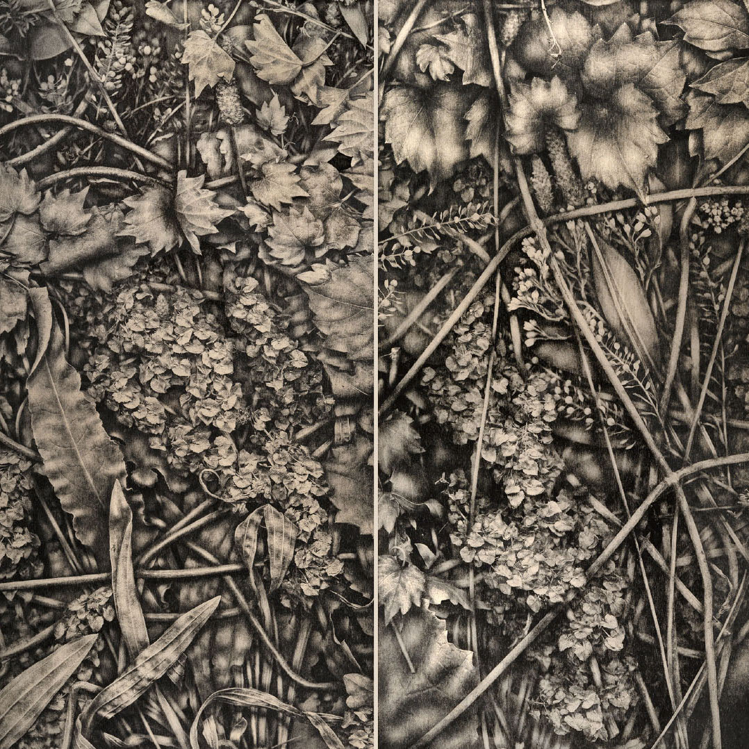 Richard Hricko, Second Growth, 2018. Woodblock on Kitakata. 48 x 50“ Courtesy of the artist. Various types of grass and leaves in black and brown color