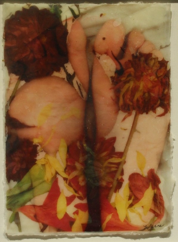 Linda M. Paris's Feet and Flamingos piece. navigate down for further details