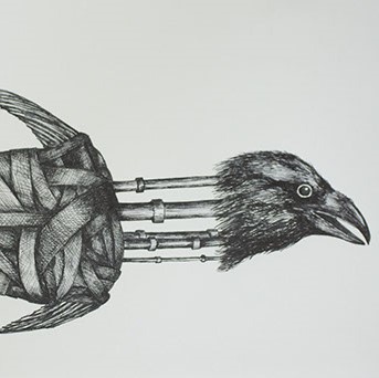 Michael Paieda, "Crow Assemblage" On the right side of the drawing there is a crow's head with his mouth open. Where his neck would be there are polls instead. This body resembles one of a fish. He has a fish tail and fins. 