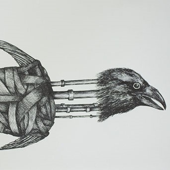 Michael Paieda, "Crow Assemblage" On the right side of the drawing there is a crow's head with his mouth open. Where his neck would be there are polls instead. This body resembles one of a fish. He has a fish tail and fins.