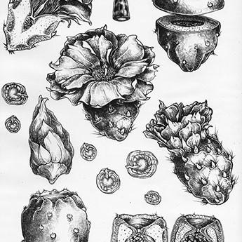 Drawings of various objects on a white background.