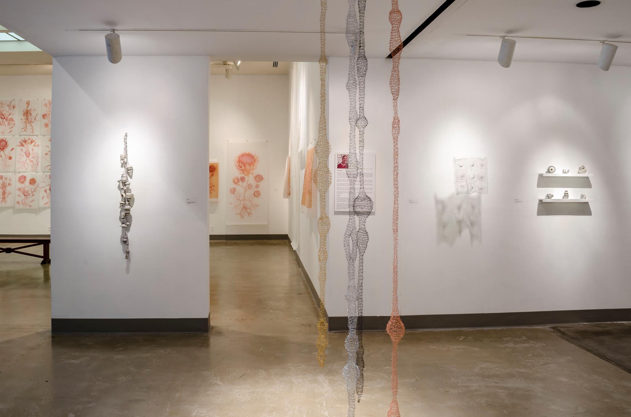 Installation View, Corridor of Gallery, Ann Bingham-Freeman, Kerry Kugelman, Meriel Stern & Jamie Sweetman Exhibition, Jan 11 - Feb 22, 2014.