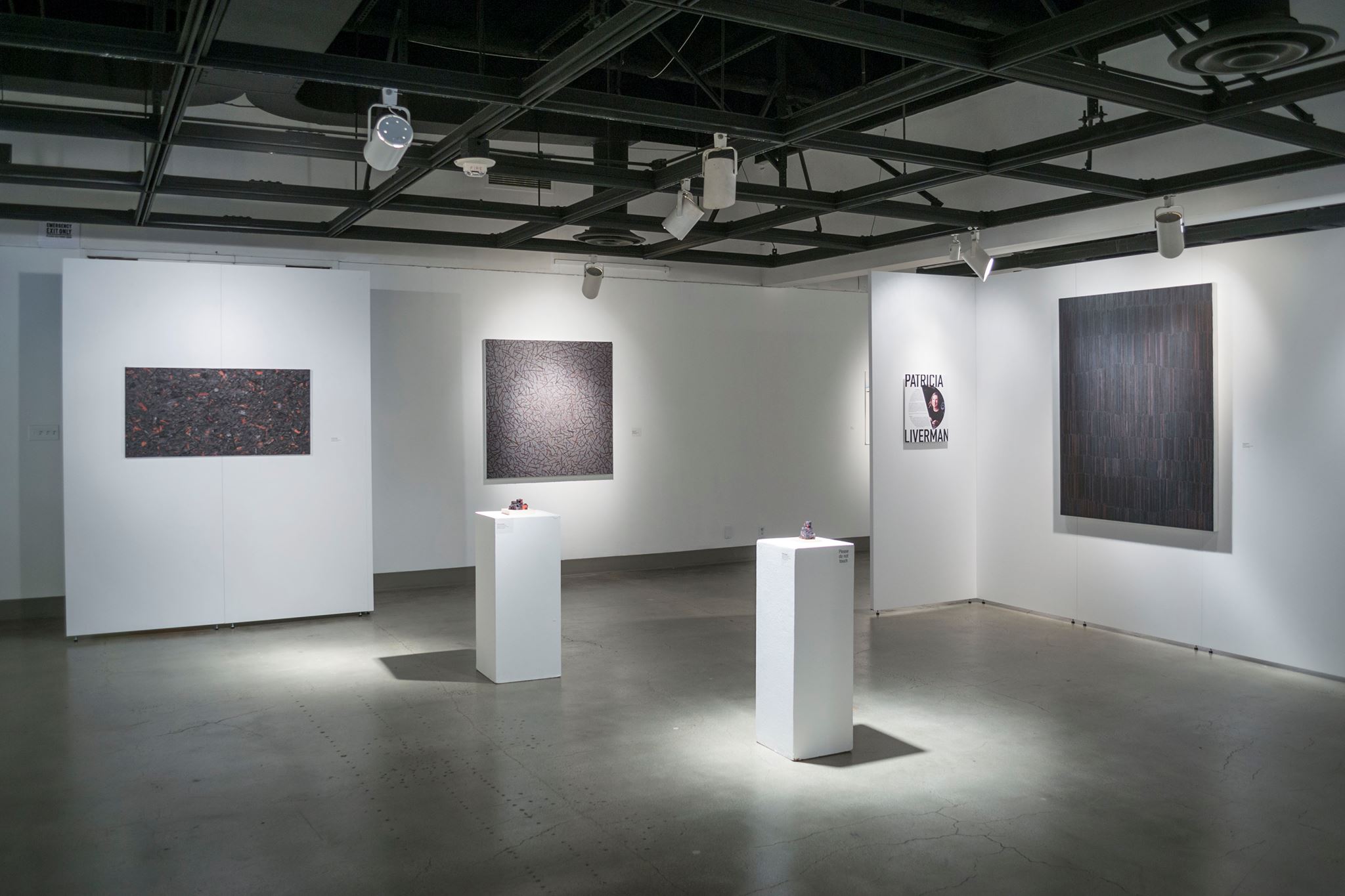 Installation View, Back Gallery, Francisco Alvarado, Patricia Liverman, Karin Skiba & Jim Zver Exhibition, July 7, 2014 to August 16, 2014