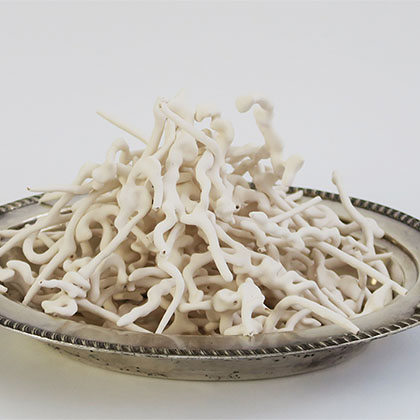 porcelain paper clay of noodles on a plate