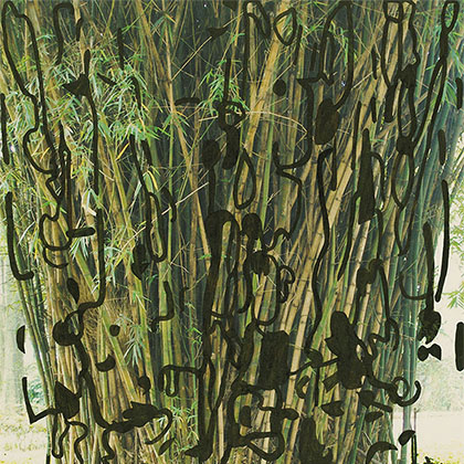 drawing of bamboo shoots