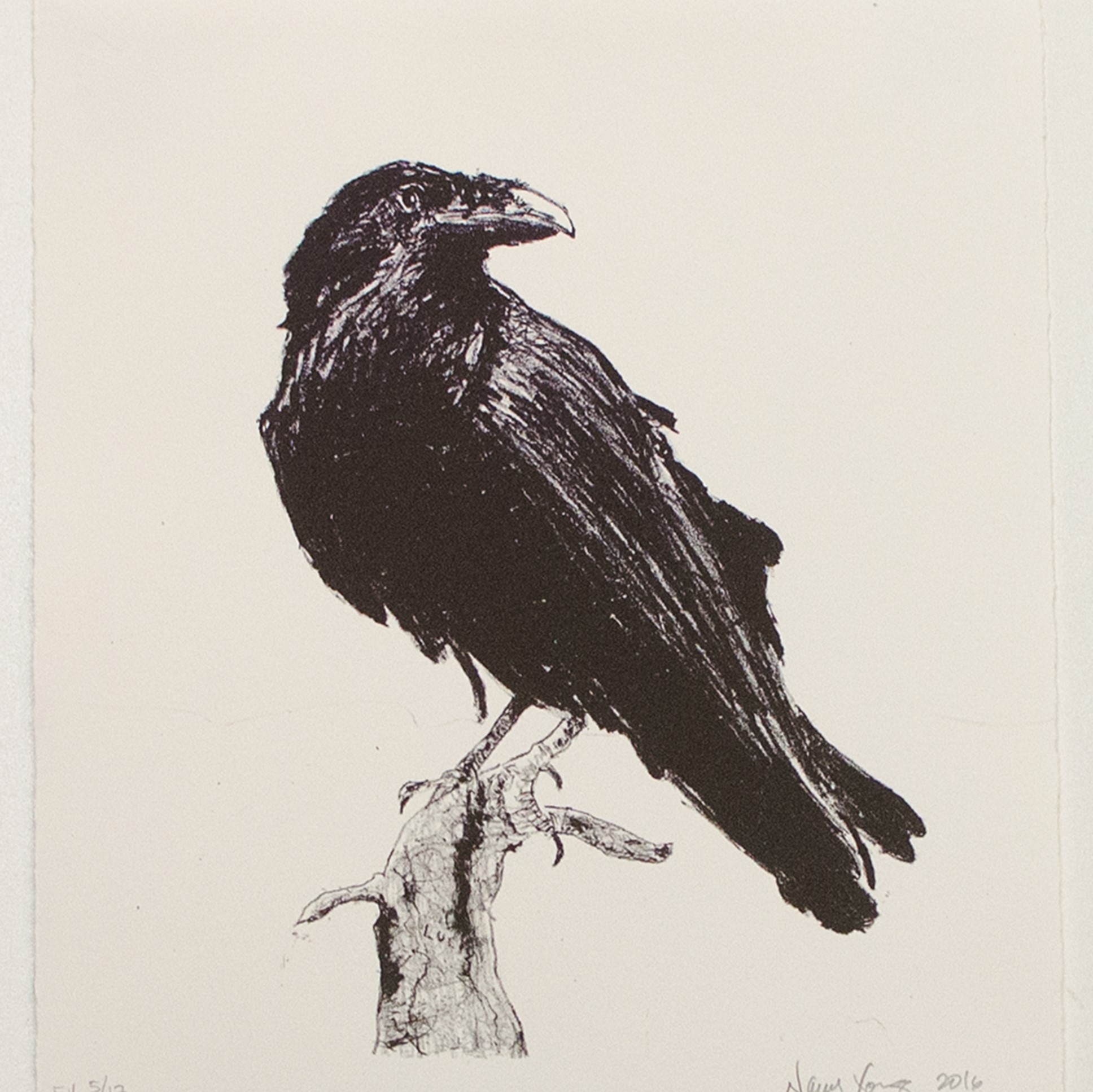 Untitled Raven by Nancy Young