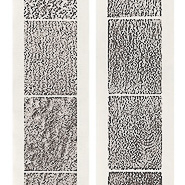 Trace from the Edge of the Pleistocene Series, 2016-2017 archival carbon print and relief prints on Awagami Kozo thin white paper 83 x 30” Courtesy of the artist