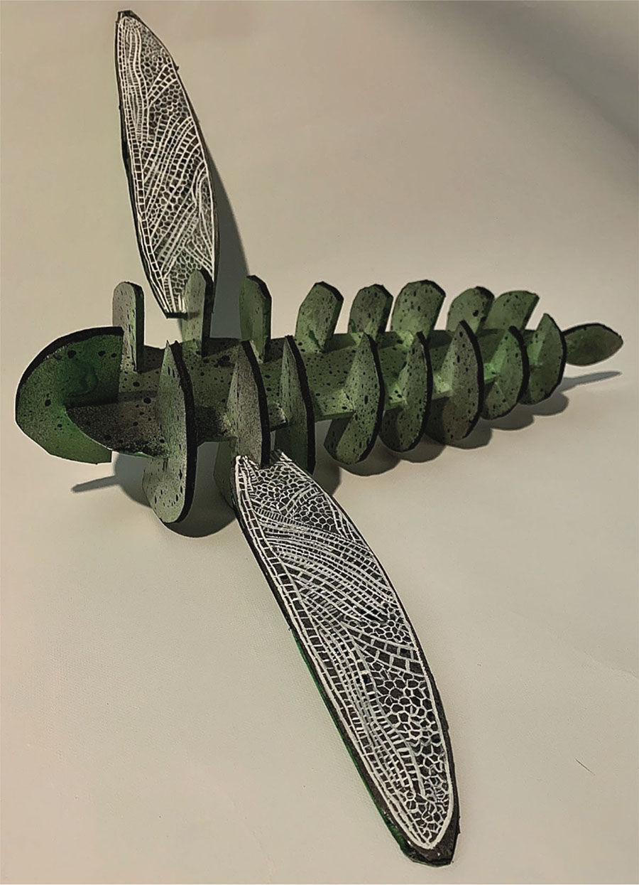 Dragon Fly by Asha Ray-Chaudhuri