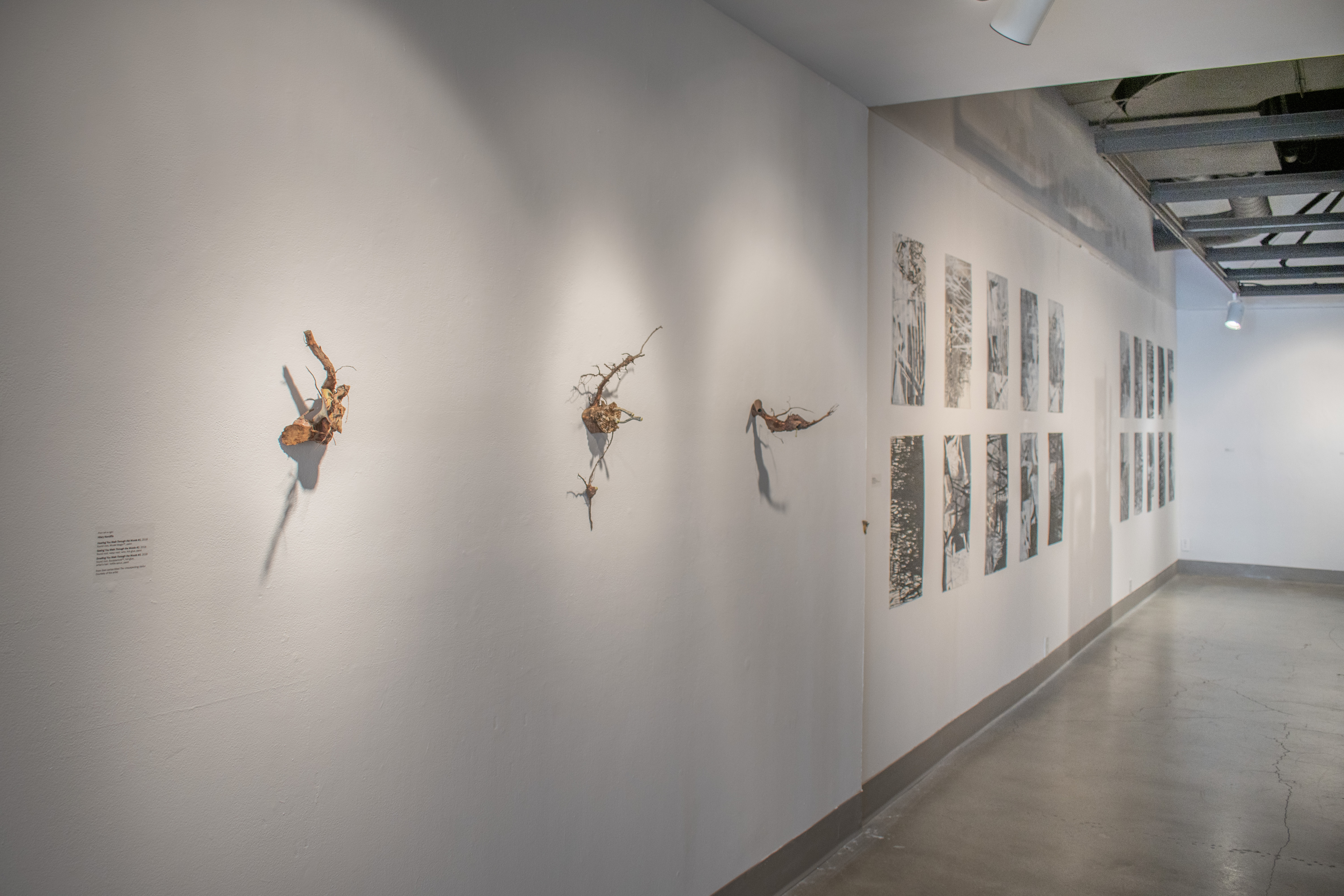 Installation View, Corridor of Gallery, St. Broxville Wood: Into the Thicket Exhibition. Artists: Jennifer Gunlock, Hilary Norcliffe, and Katie Stubblefield