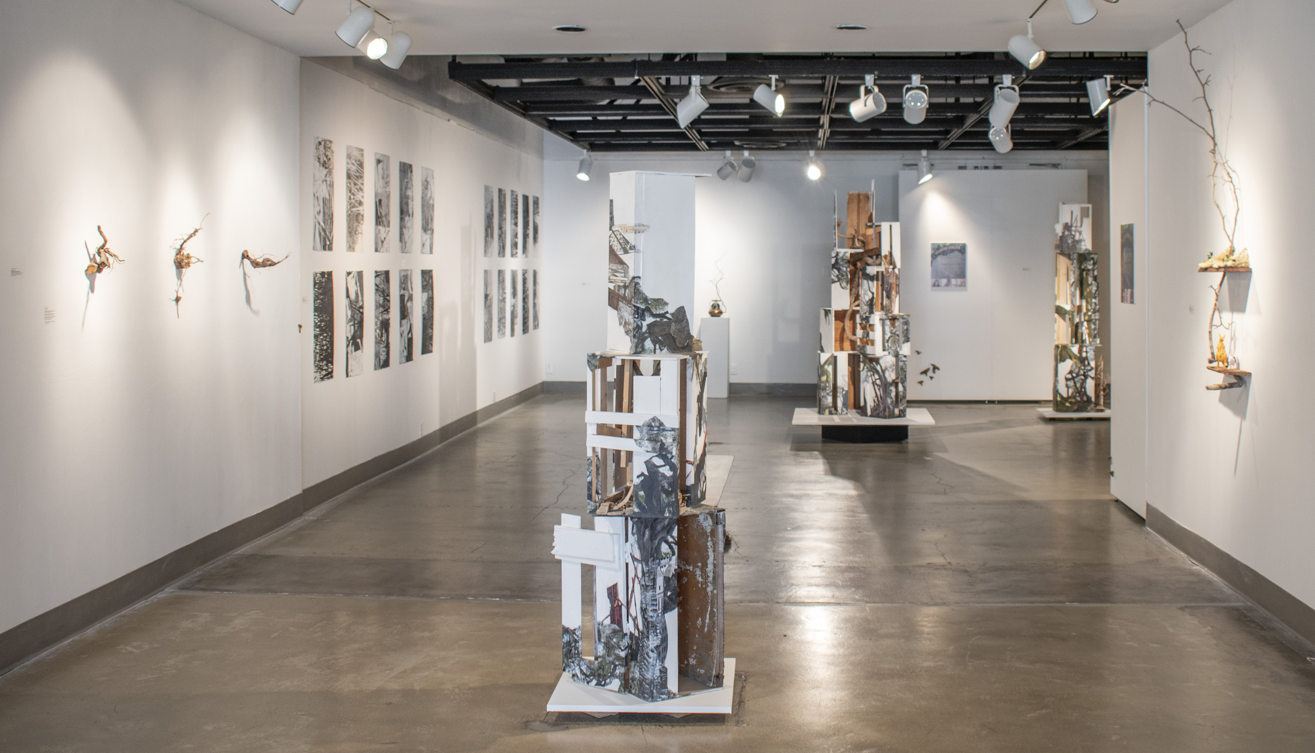 Installation View, Corridor of Gallery, St. Broxville Wood: Into the Thicket Exhibition. Artists: Jennifer Gunlock, Hilary Norcliffe, and Katie Stubblefield