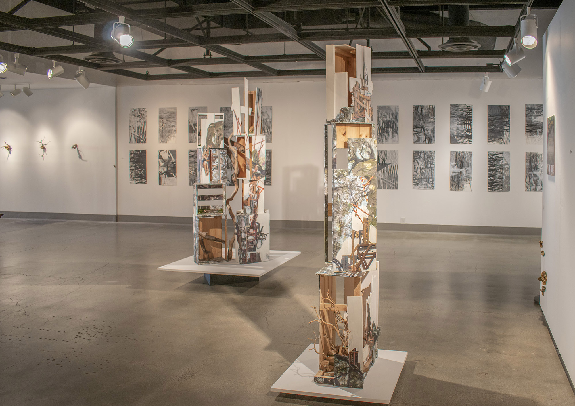 Installation View, Back of Gallery, St. Broxville Wood: Into the Thicket Exhibition. Artists: Jennifer Gunlock, Hilary Norcliffe, and Katie Stubblefield