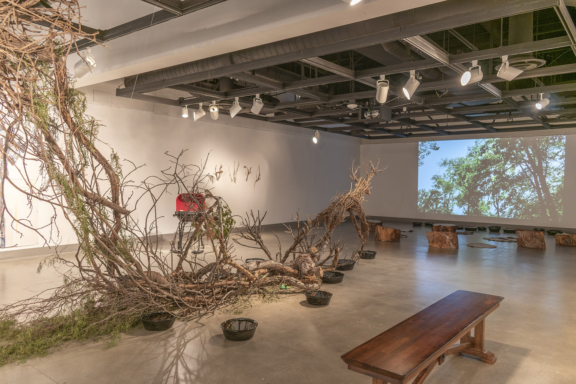Installation View, Back of Gallery, St. Broxville Wood: Into the Thicket Exhibition. Artists: Jennifer Gunlock, Hilary Norcliffe, and Katie Stubblefield