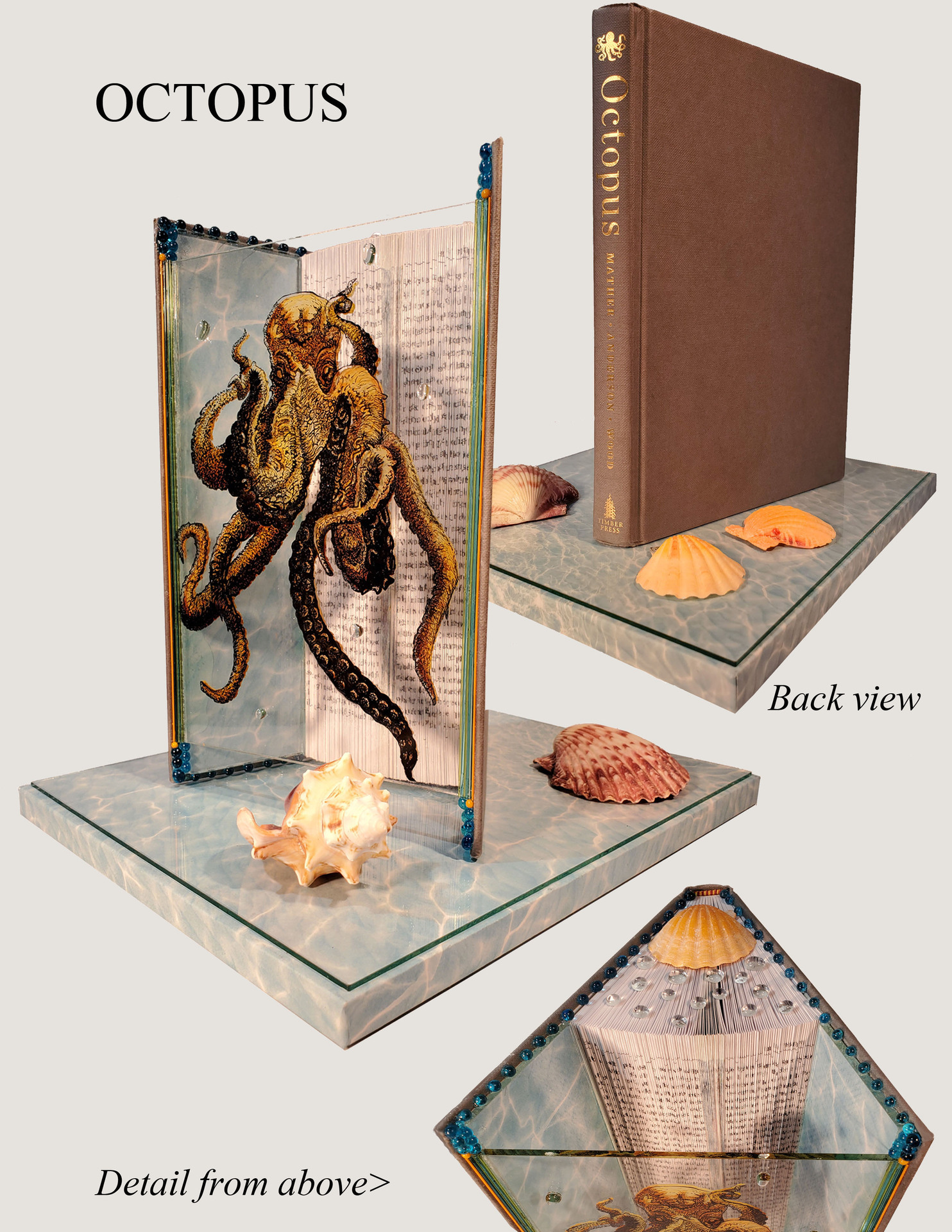 book with brown cover and spine that says 'Octopus' in gold. The book is open and the pages are folded in. A clear piece of acrylic or plexi has an illustration of an octopus on it and is placed between the front and back of the book propping it open. The book and plexi are sitting on a rectangular base with an image or painting that resembles the surface of water. There are various seashells around the sculpture.