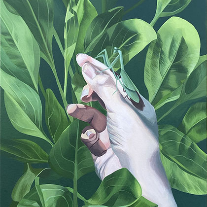 acrylic painting of a hand holding a praying mantis that blends into the green plants