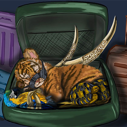 illustration of exotic wildlife animals such as tiger, parrot, turtle, and elephant tusks being smuggled in a luggage