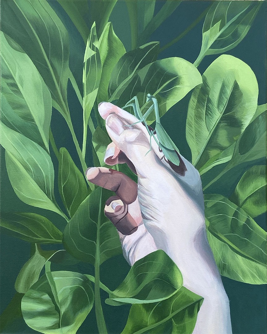 acrylic painting of a hand holding a praying mantis that blends into the green plants