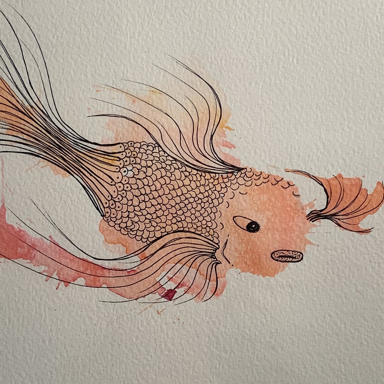 001: Image description. Artwork of a pink and orange fish