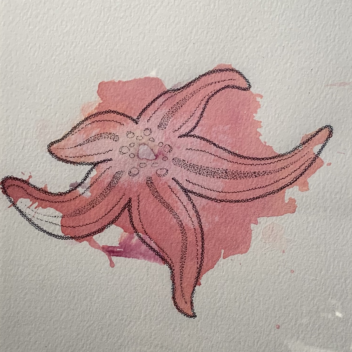 002, image description: pink starfish