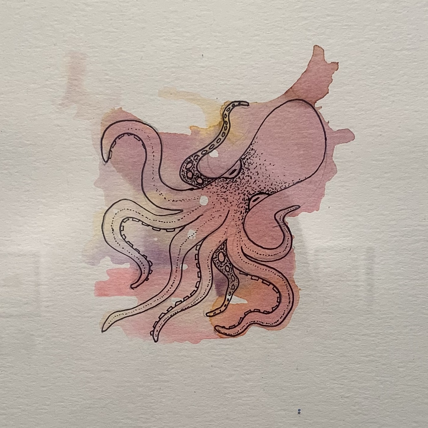 003: Image description: pink octopus on white background