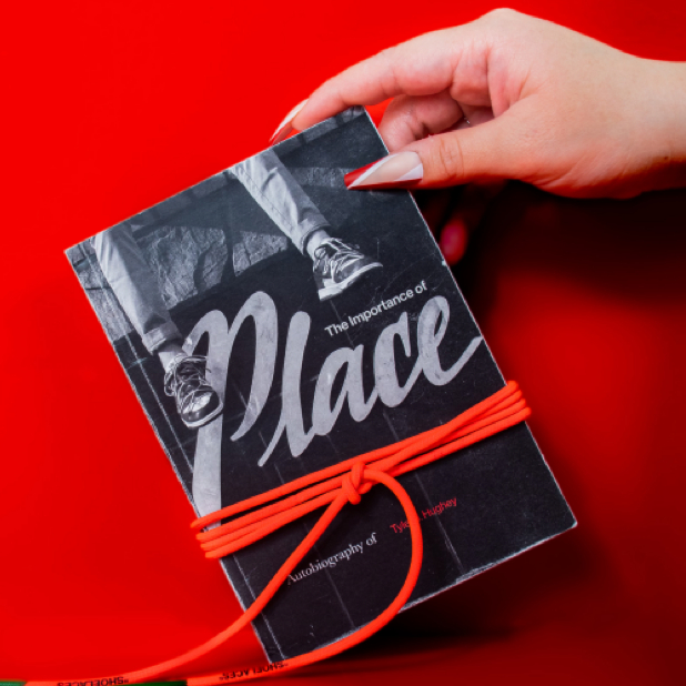 The Importance of Place artwork