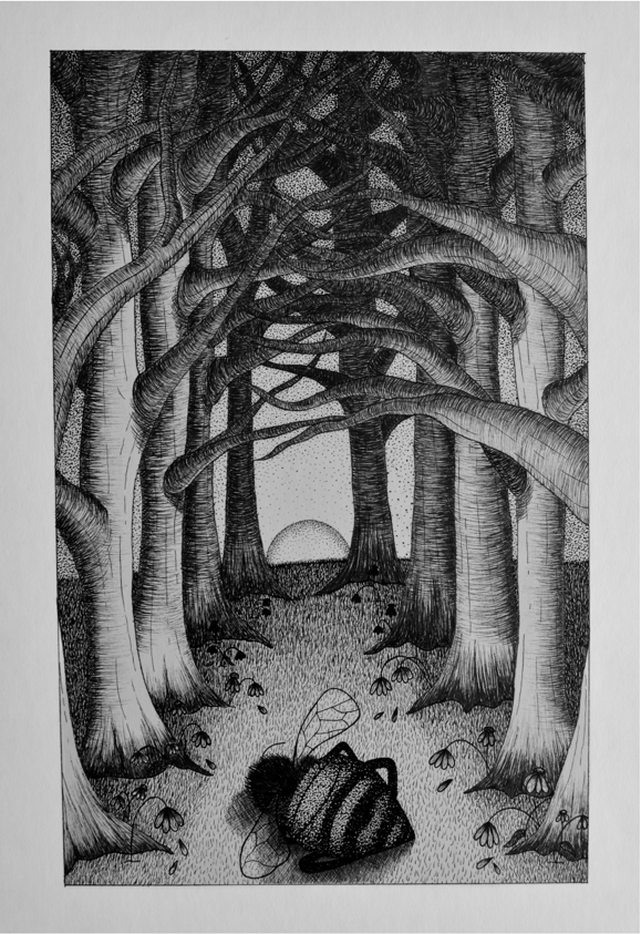 An ink drawing of a tree path