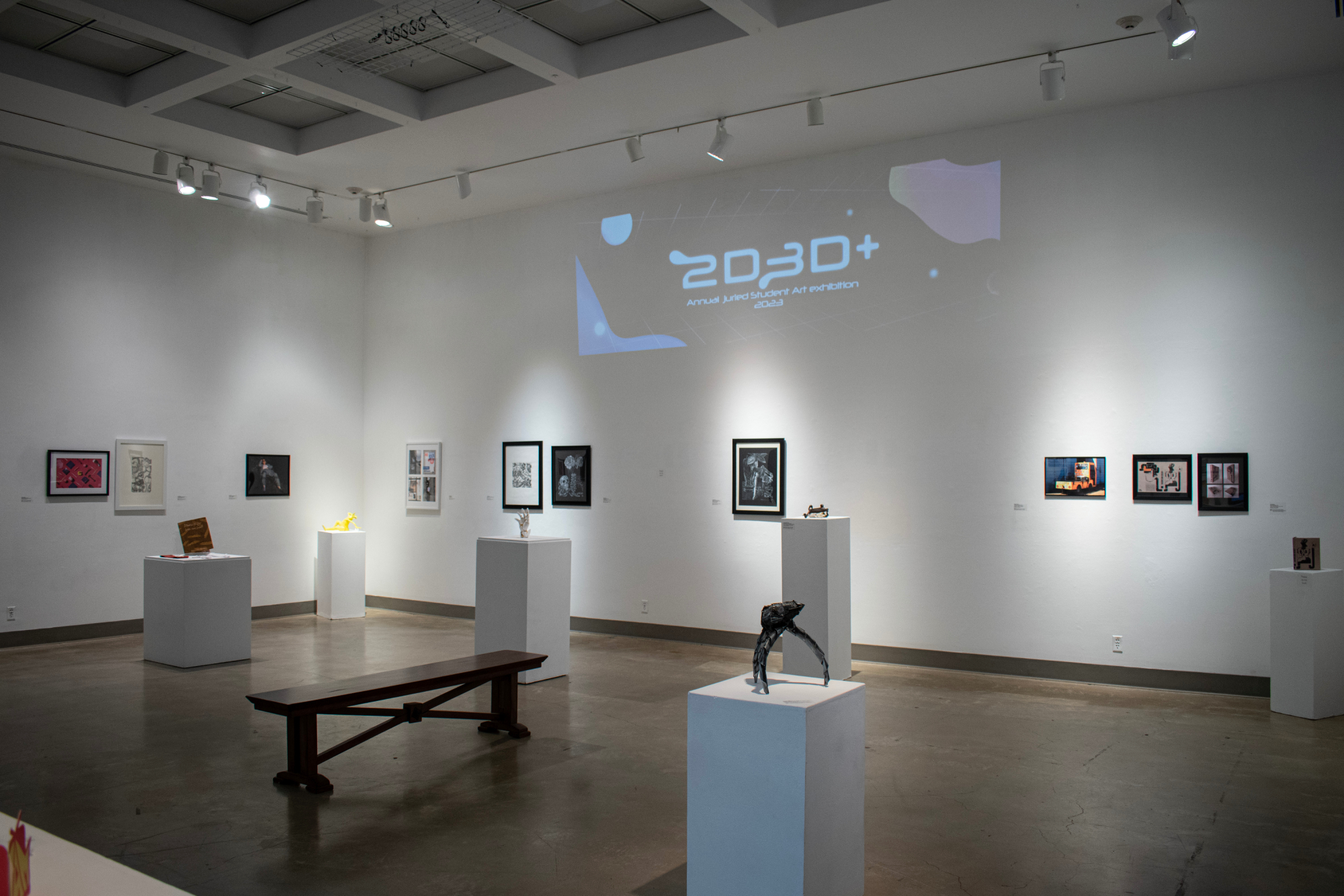 installation view of gallery