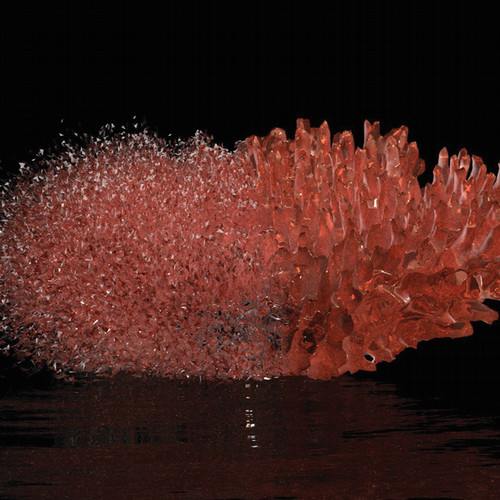  isabel beavers red coral video with a black background 