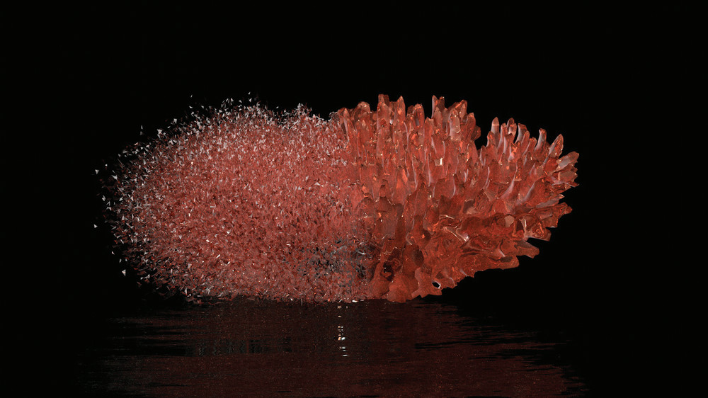 Isabel art work of a coral dissolving