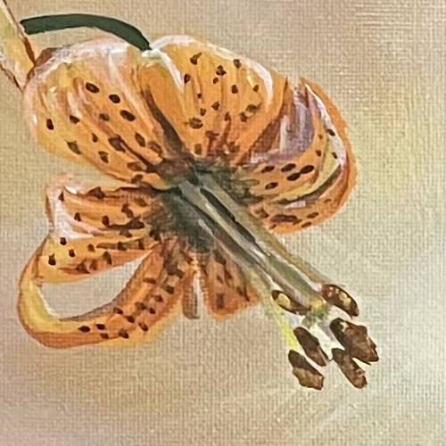 "Creation of Plant" by Allison Schaefer