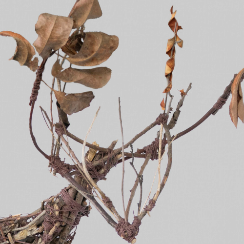 "Fear the Deer" by Diana Barrera