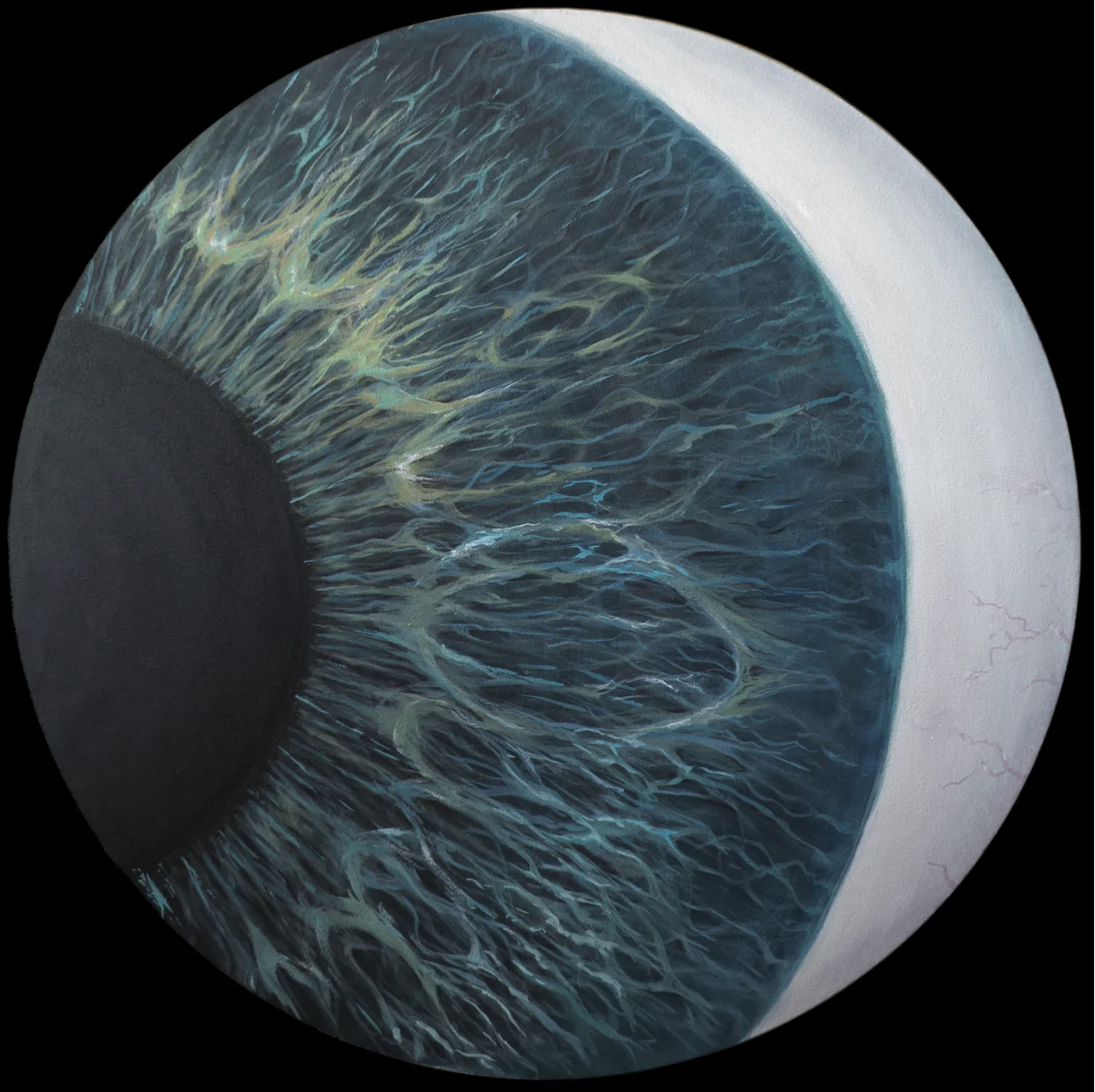 "The ST Gallery" by Khai Nguyen