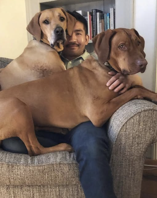 Man sitting on couch with his two large brown dogs.