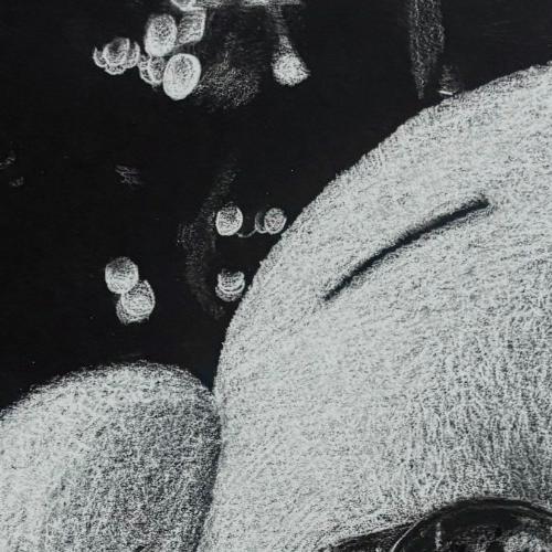 "Still Life, White on Black Drawing" by Angelica Leal 
