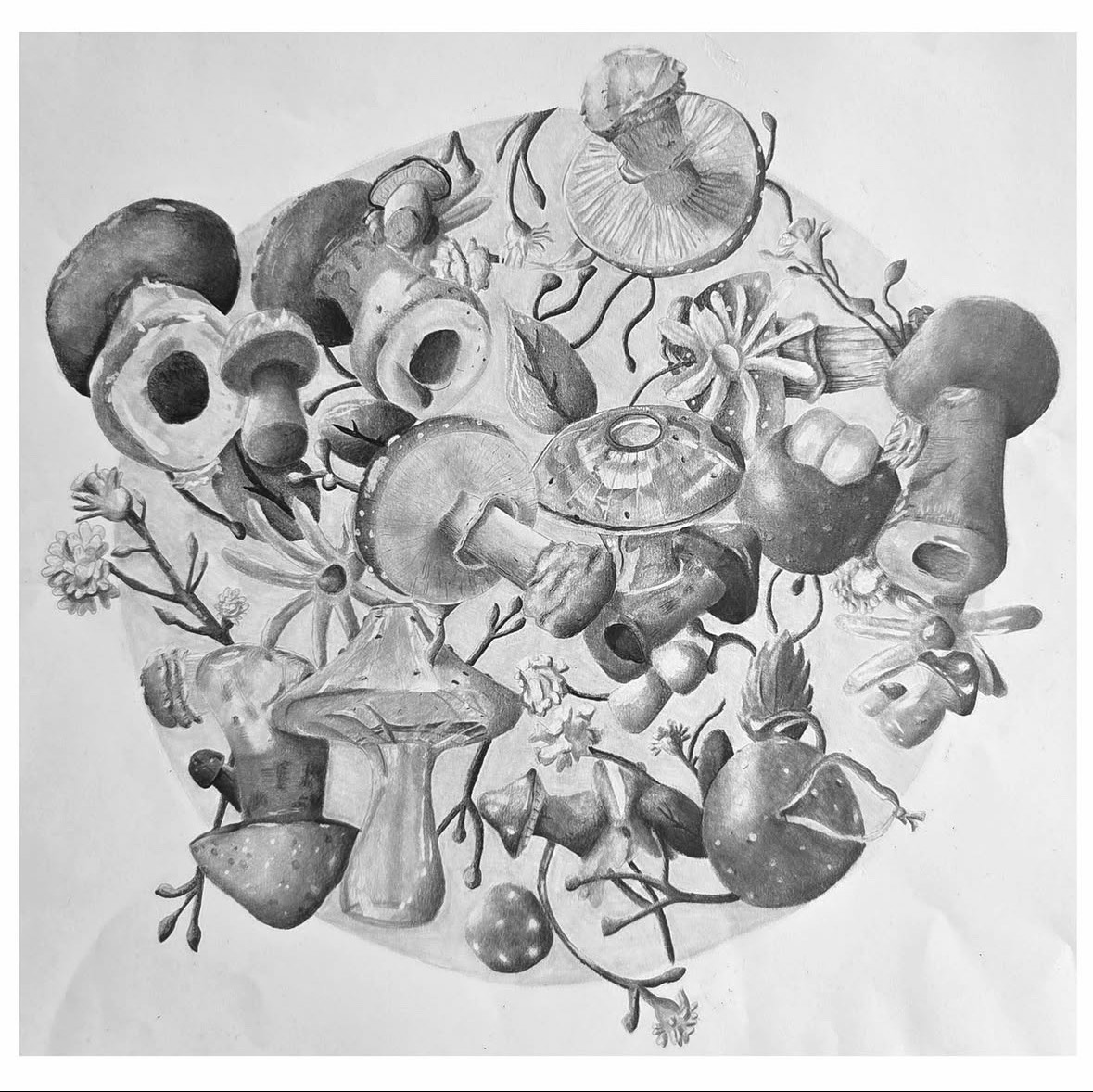 "The Perspective of Mushrooms" by Catherine Vicuna