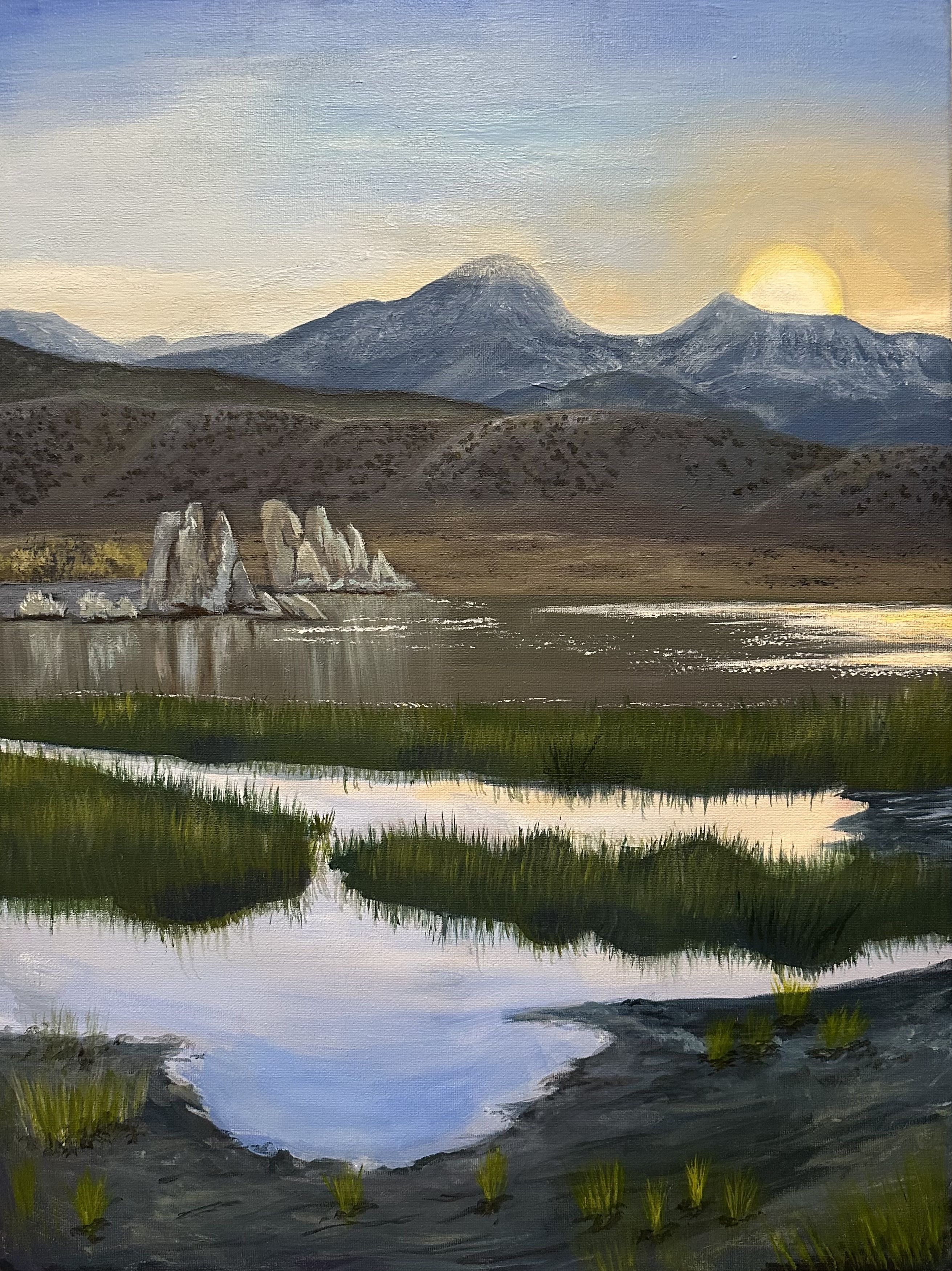 "Mono Lake/Landscape Project" by Faith Lucas