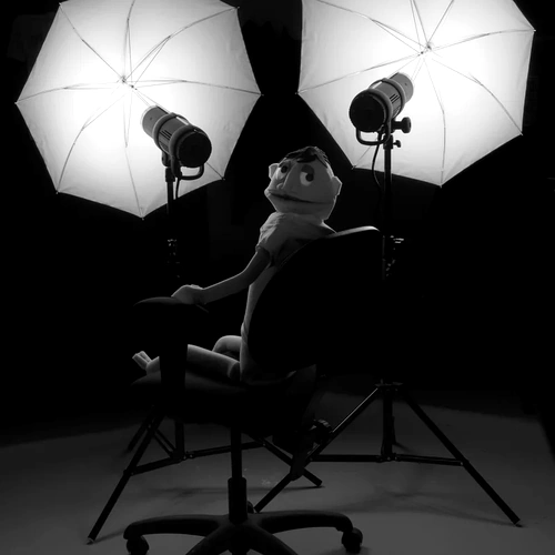 Detail shot of "In Light" by Rory Hamovit.