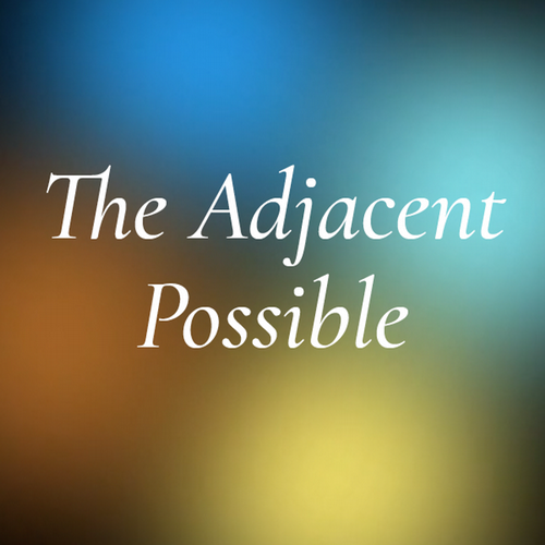 multicolor kaleidoscope of orange yellow and blue radial color with black and the words The Adjacent Possible in white letters