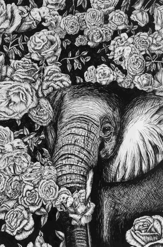 Hidden Elephants - black and white detailed drawing of an elephant hidden behind a bush of roses
