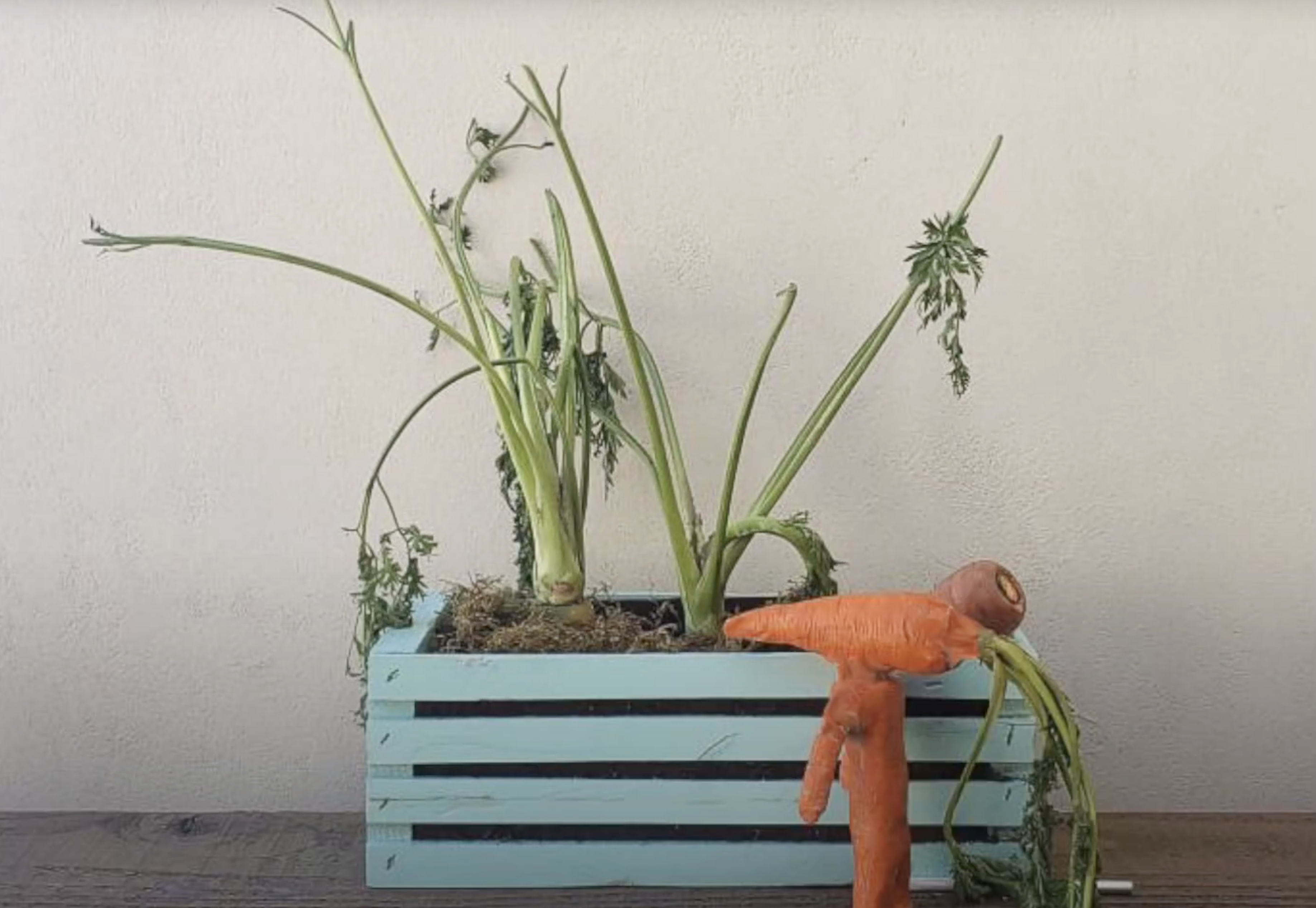 The Poser - stop-motion video using clay, acrylic, wood, spray paint, carrots