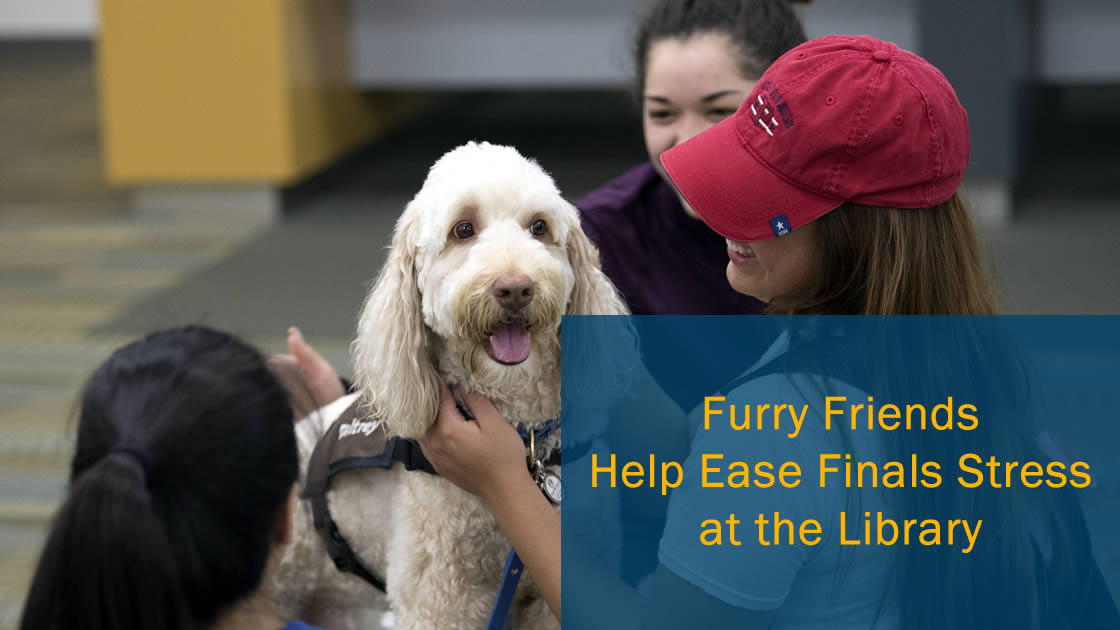 furry friends ease finals stress at the Library