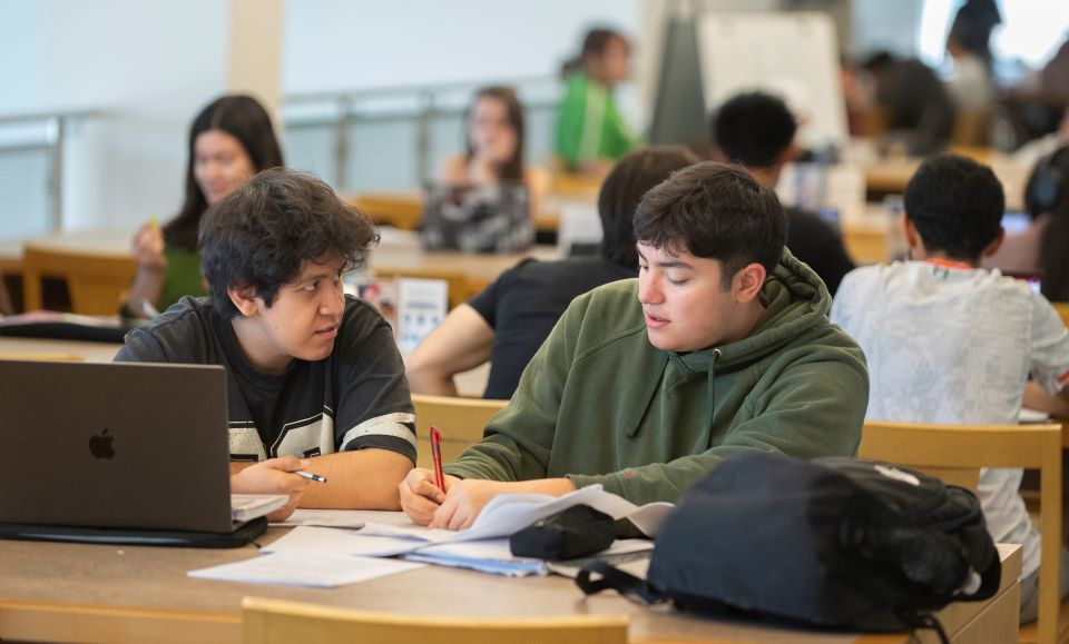 Two students work on homework together