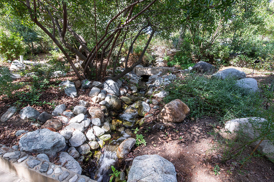 Close-up of various rocks and stones