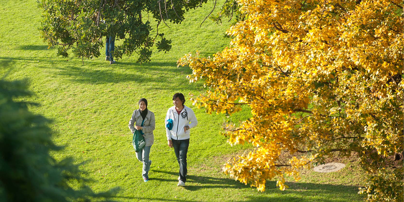 Two students walk across the Rose Garden
