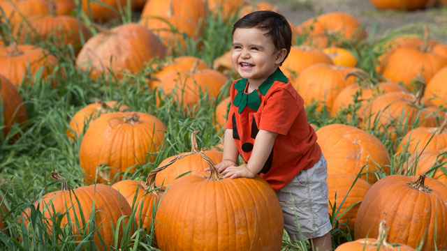 The 24th Annual Pumpkin Festival rolls into Cal Poly Pomona Oct. 8 and 9.