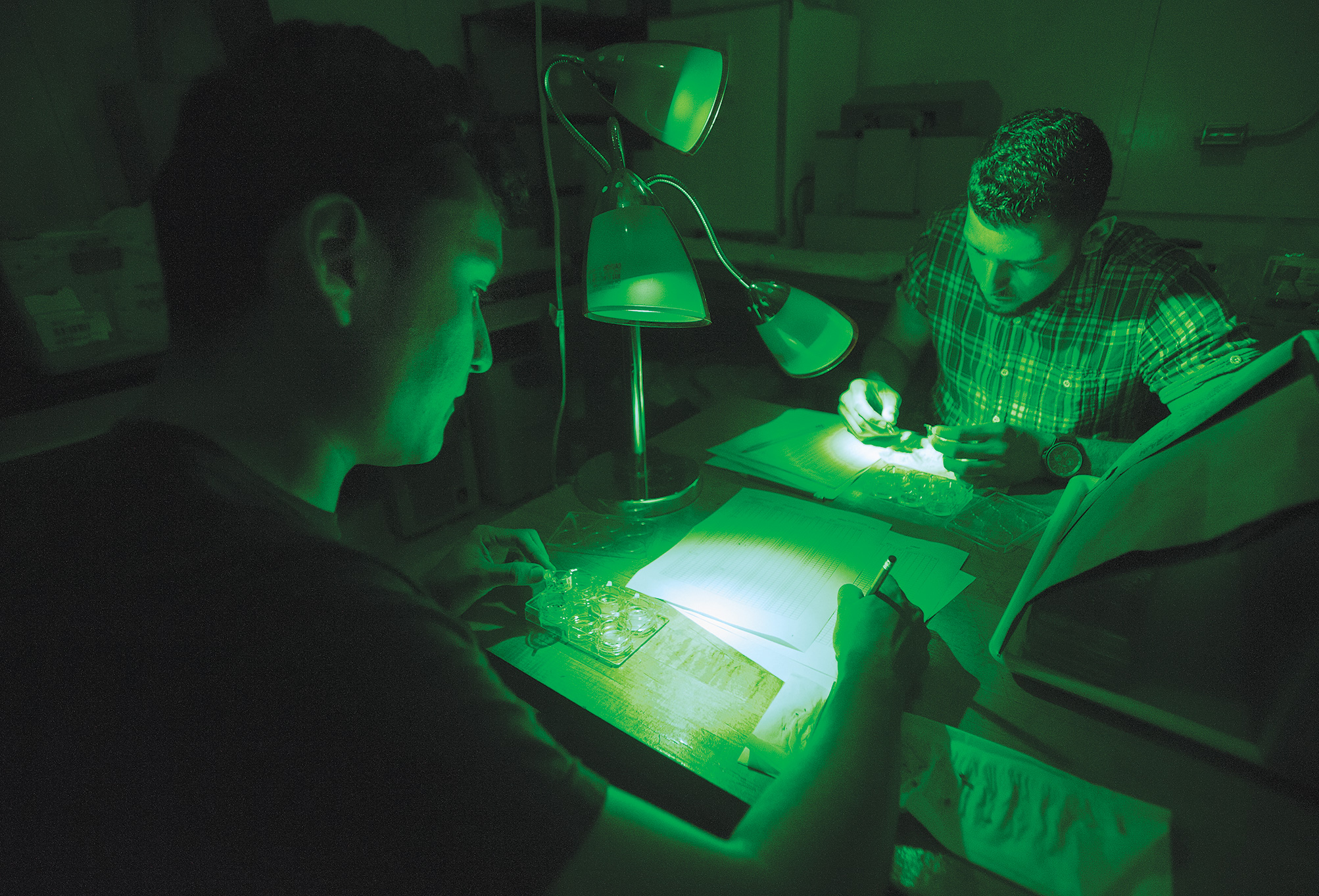 Lettuce-Lab-Ortiz4-(1)