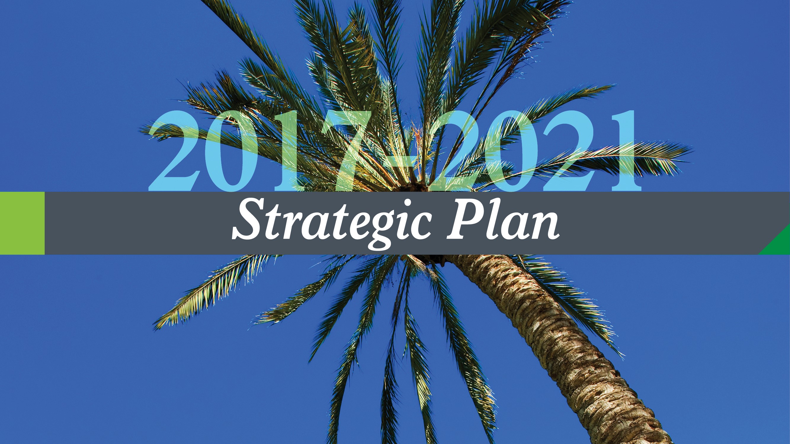 Strategic Plan