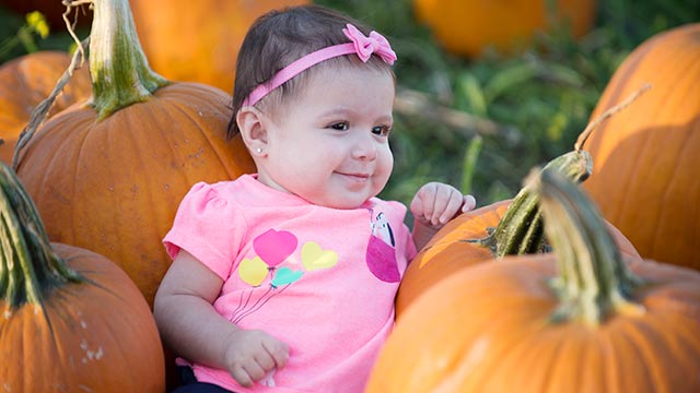 The pumpkin festival will be held Oct. 6 and 7 at AGRIscapes Center.