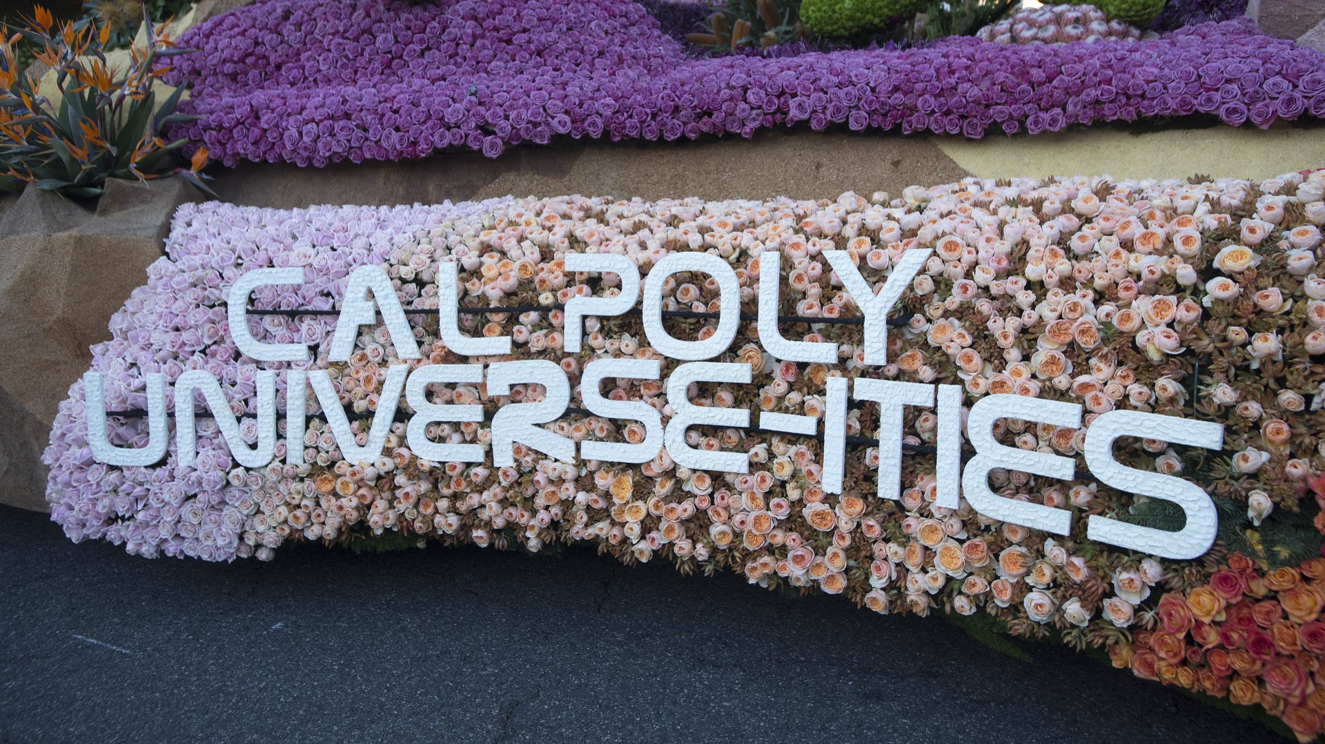 Rose Float 2019 CPP
