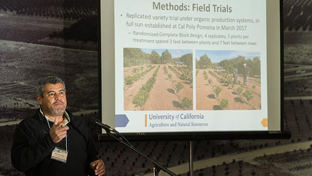 Ramiro Lobo Examples of raw coffee beans at Cal Poly Pomona's 2018 Coffee Summit.